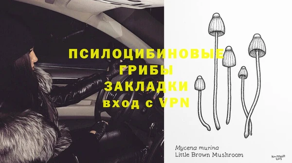 2c-b Бугульма