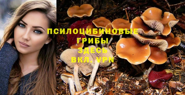 экстази Бородино