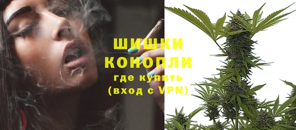 экстази Бородино